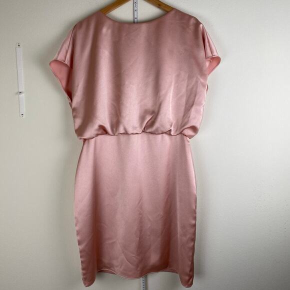 NWT Trina Turk Amuse Dress Size 12 Pink Wedding Guest Mother of Bride Groom - Picture 8 of 14